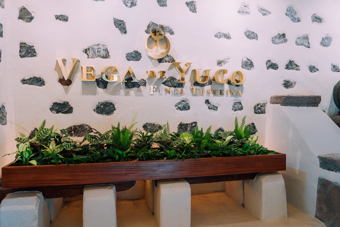 Bodegas Vega de Yuco, 25 años elaborando vinos icono en Canarias