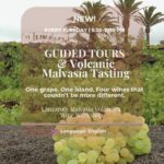 Cata de vino Lanzarote Guide Tour Malvasía Volcánica